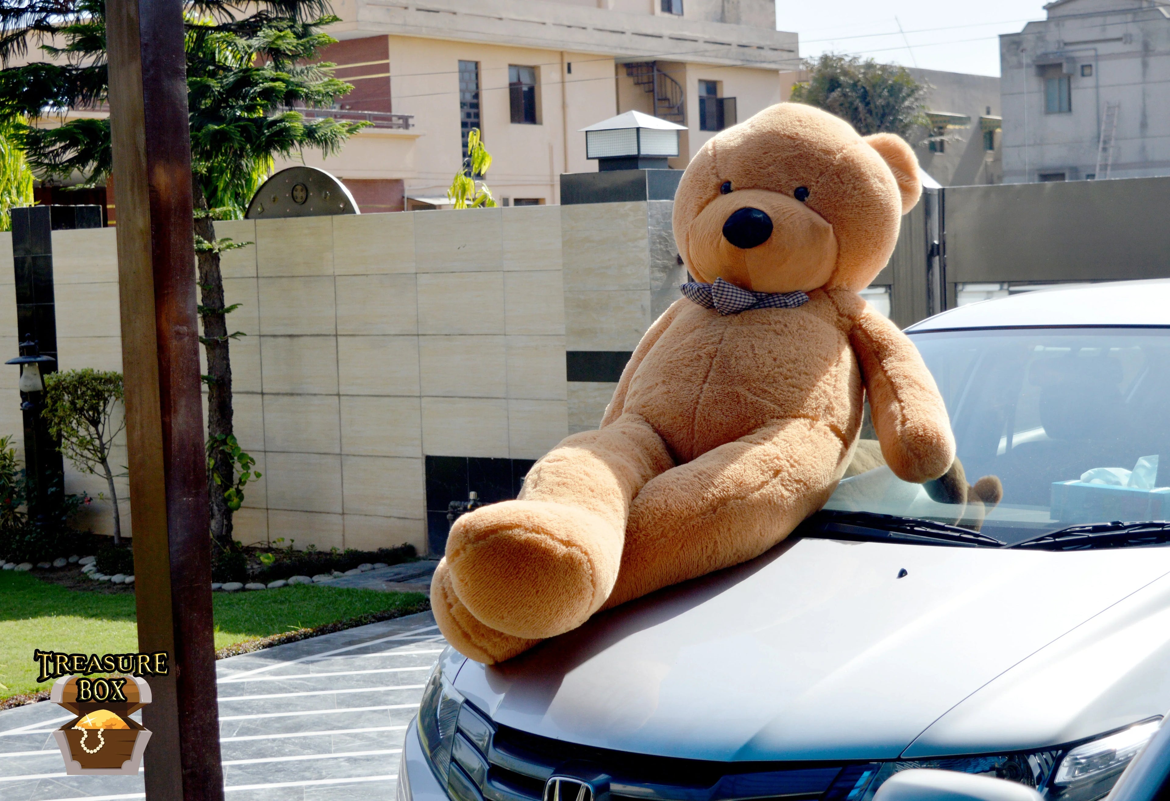 Bear Buddies