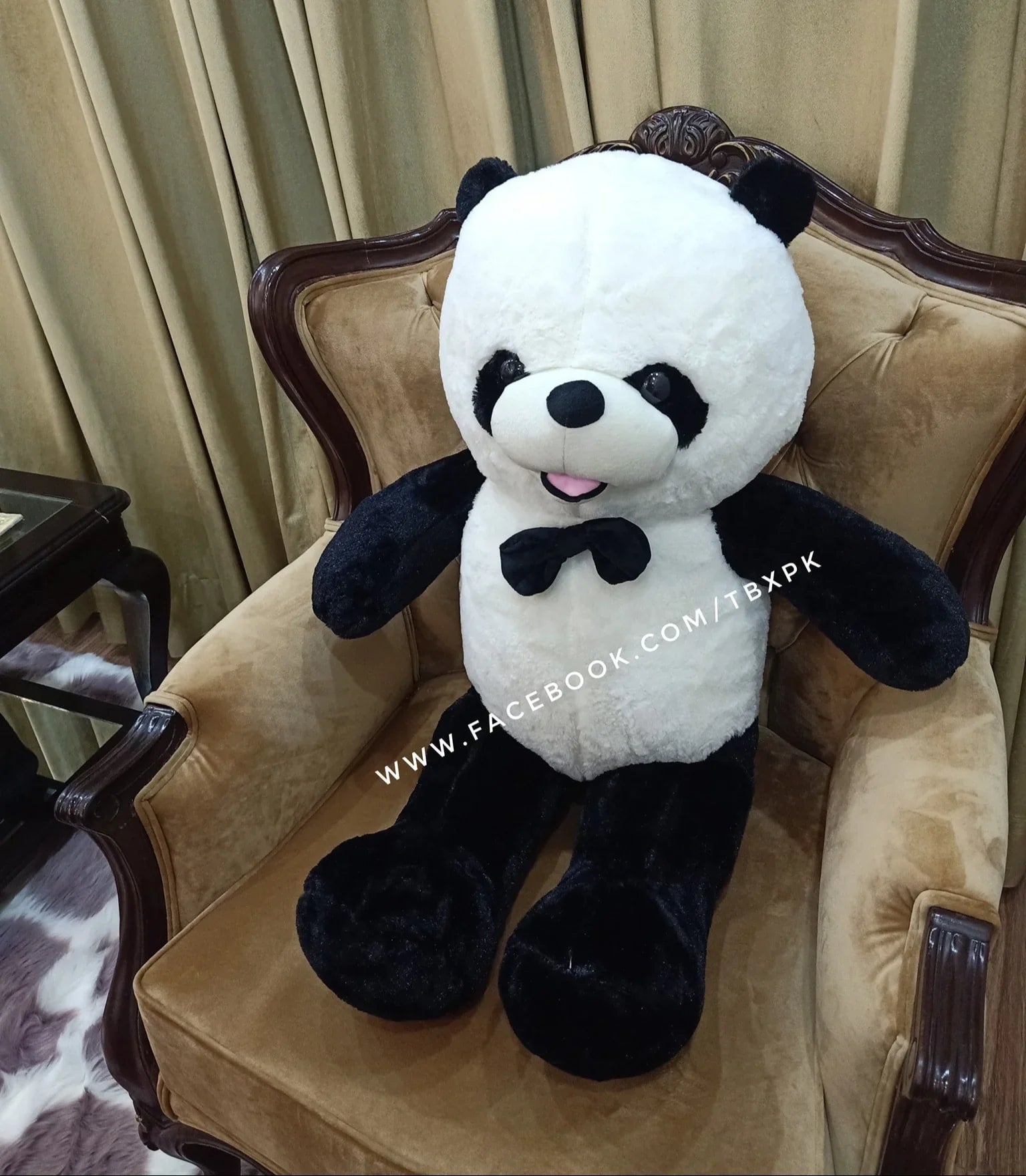 Panda Bear (2.8 - 4.8 Feet)