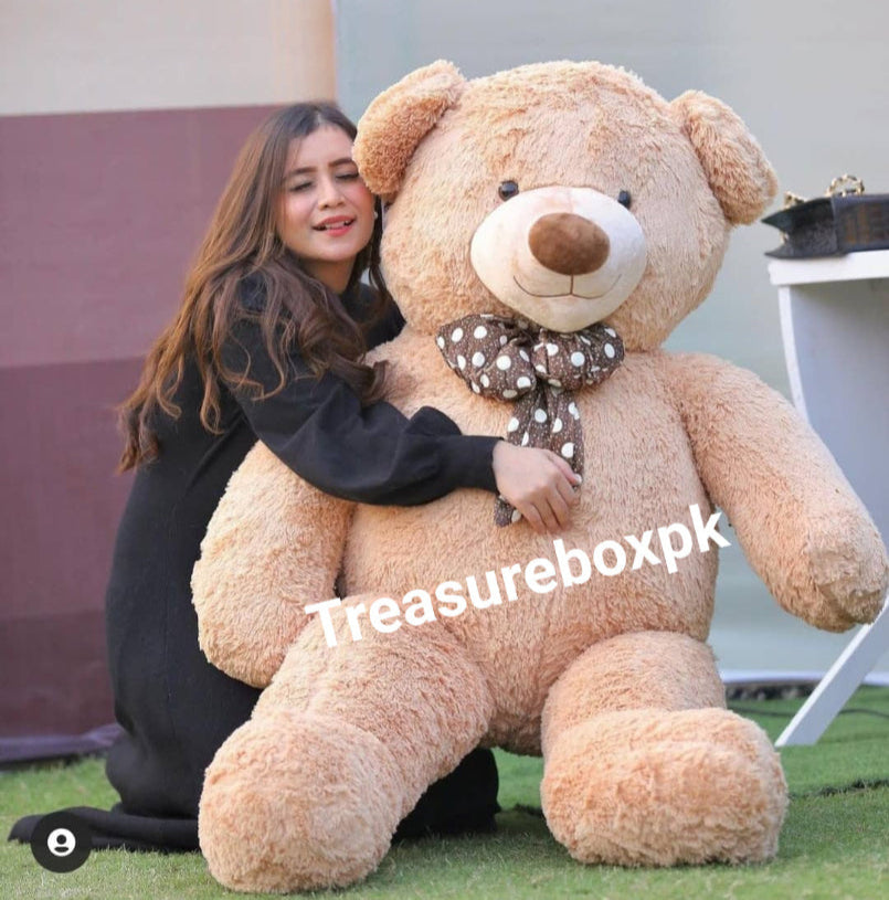 Dua Amjad's CooKie Teddy