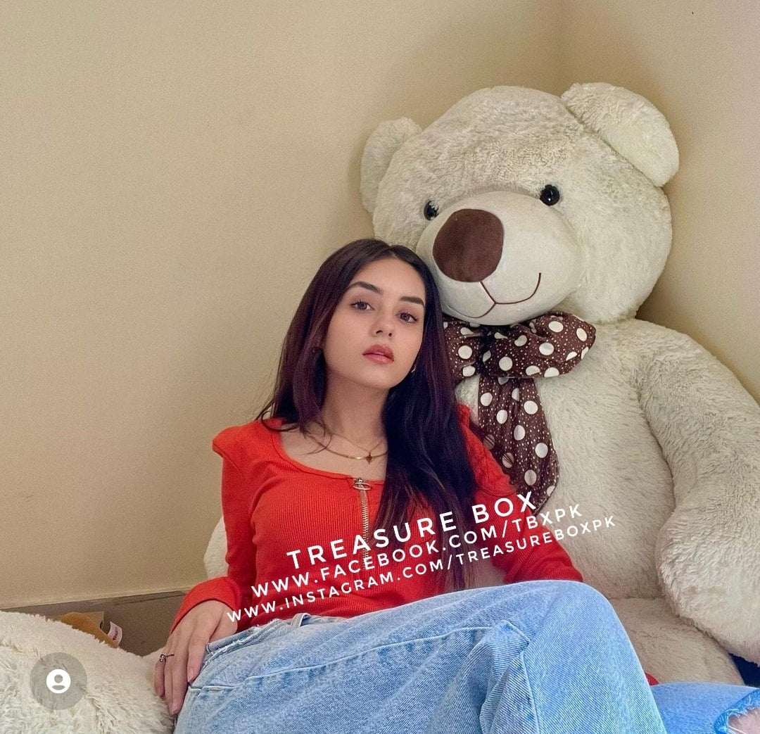Wania Nadeem's Teddy