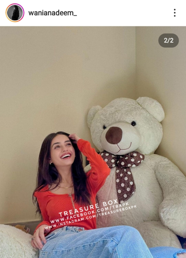 Wania Nadeem's Teddy