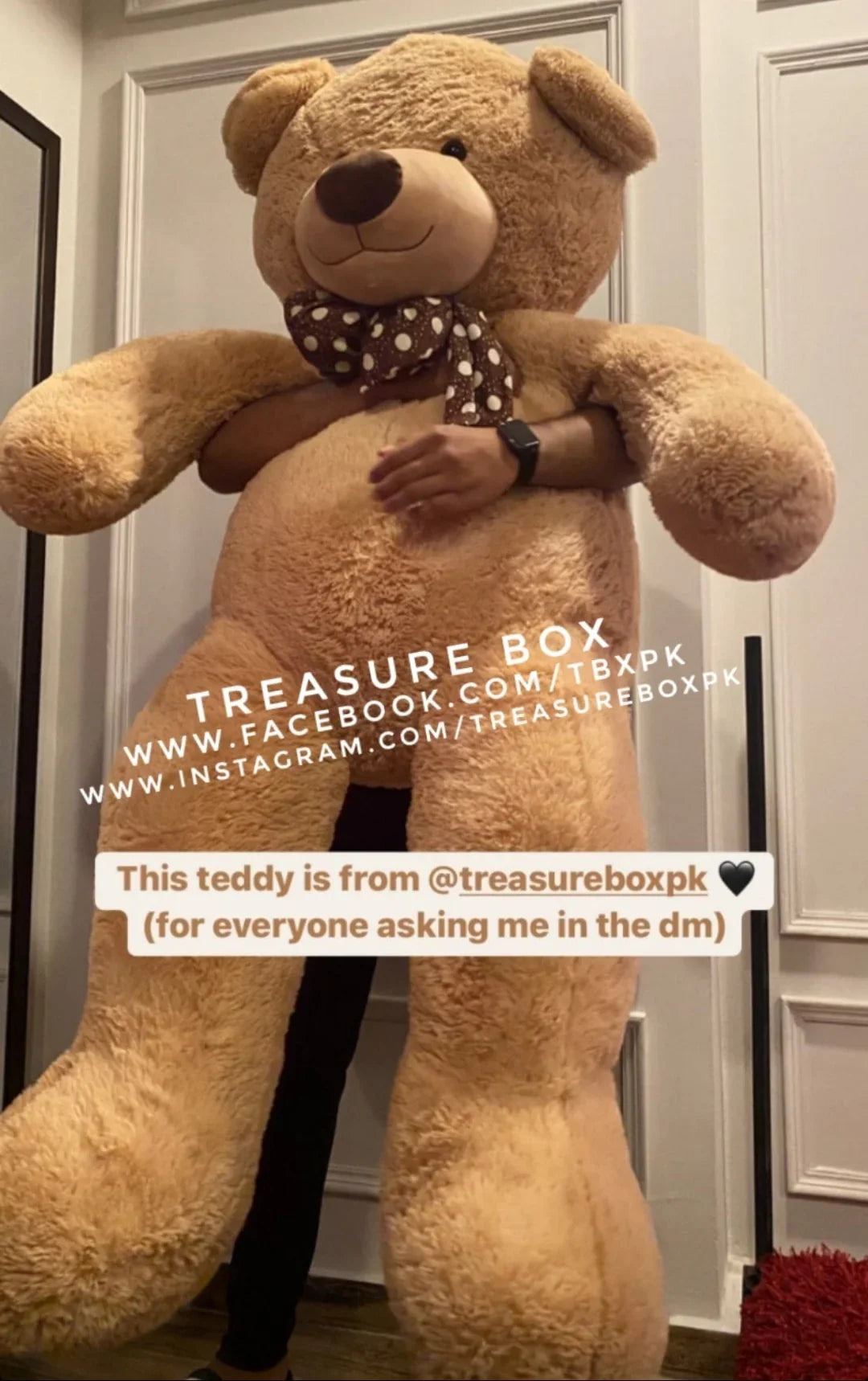 'CooKie' 6 Feet Teddy Bear