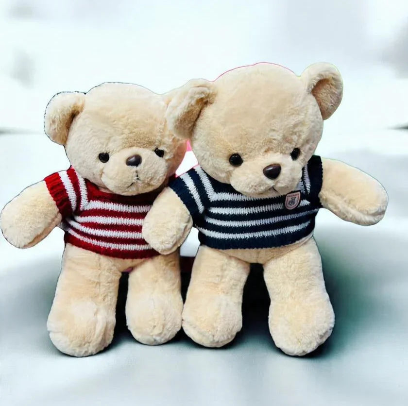 Small Teddy Bear with Shirt (50 cm)