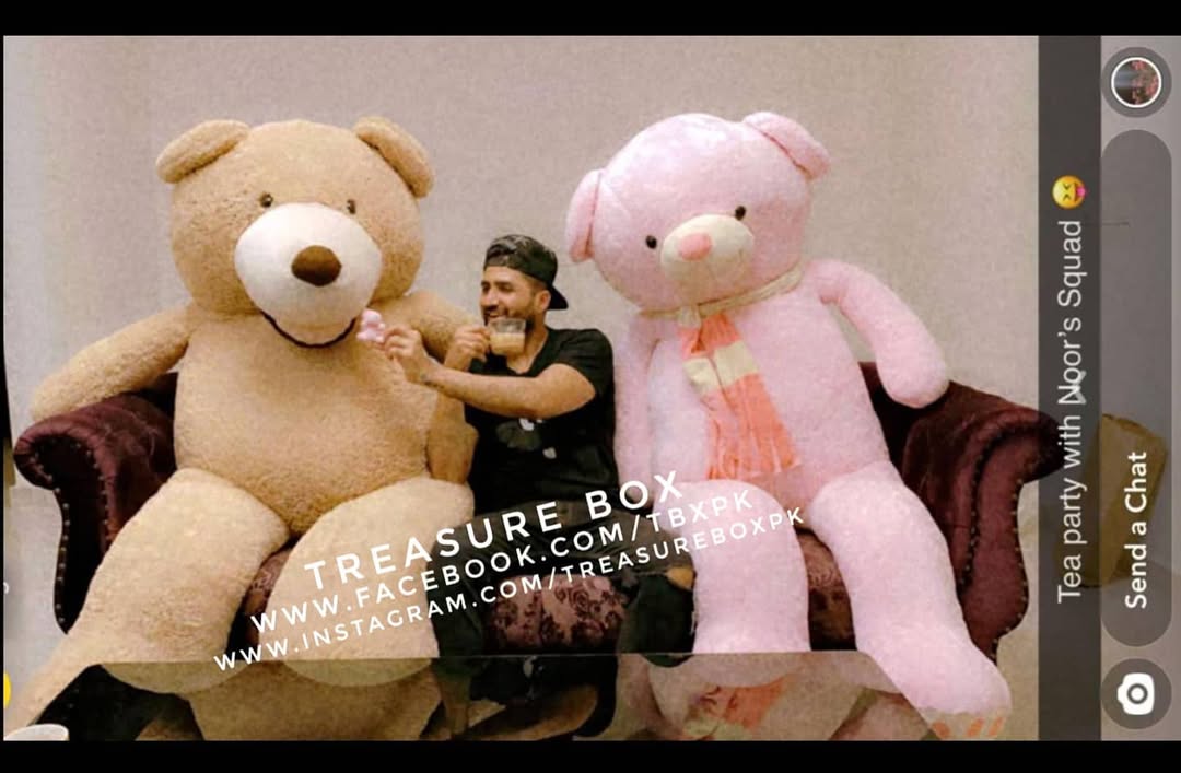 Noor Zafar Khan's Pink Teddy