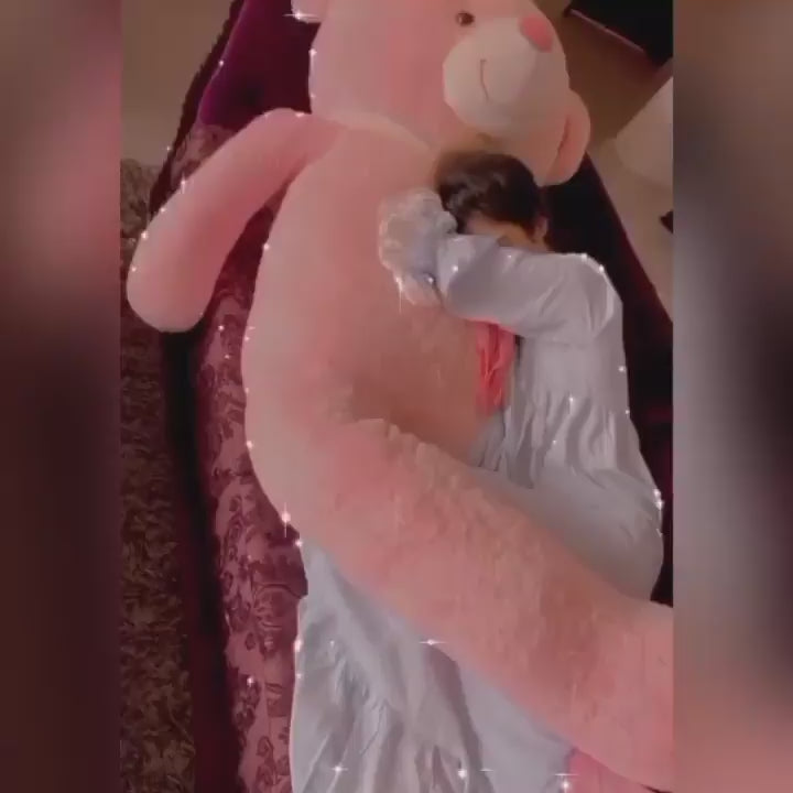 Noor Zafar Khan's Pink Teddy